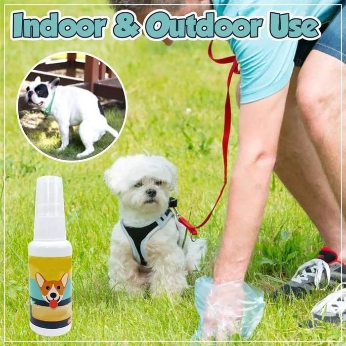 Potty Training Spray for Pets